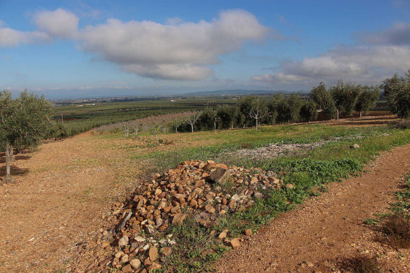 Subvención para localizar cuerpos en el paraje del Cerro de la Cabeza