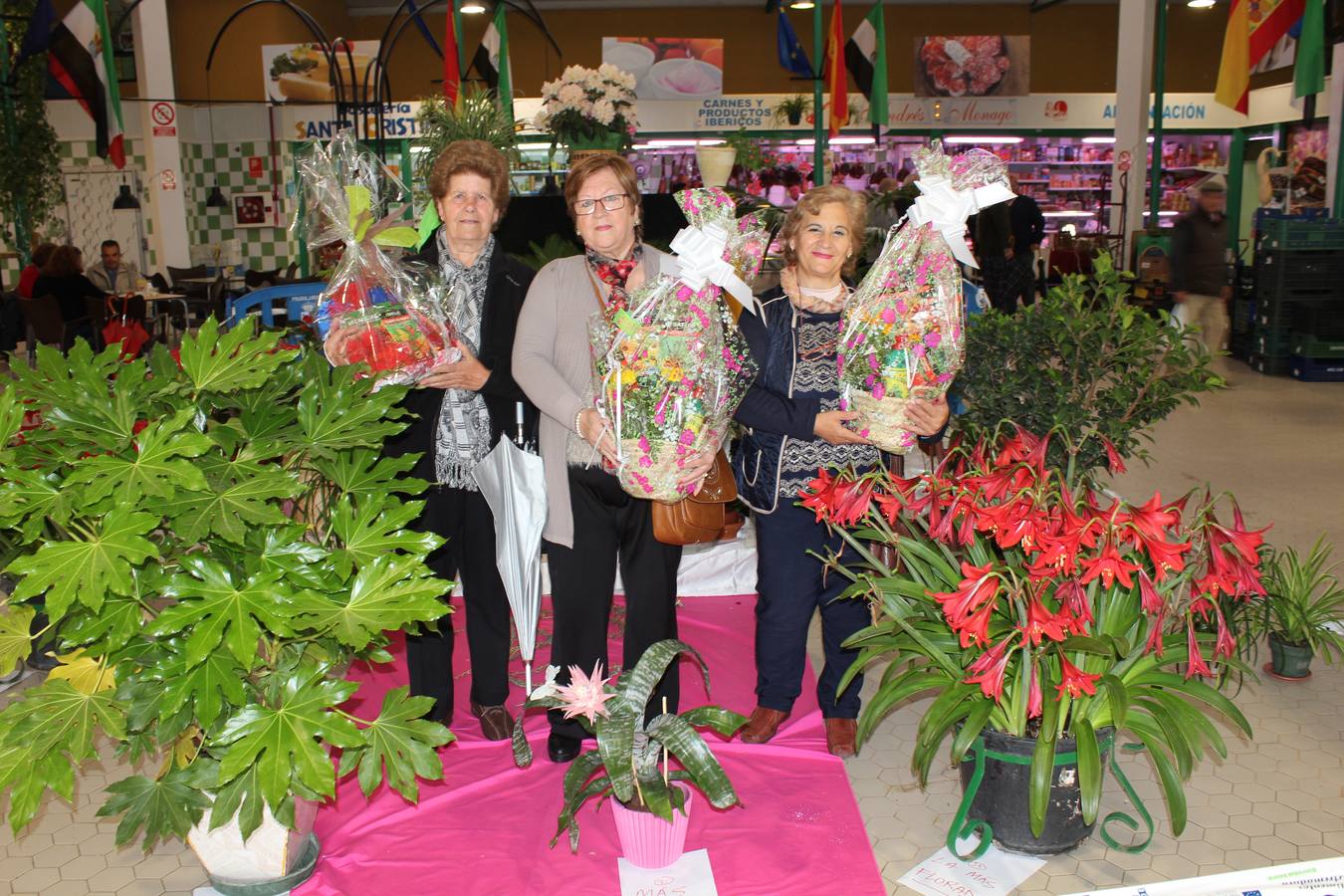 Una higuera, trompetas rojas, y una aechmea, macetas ganadoras en la feria