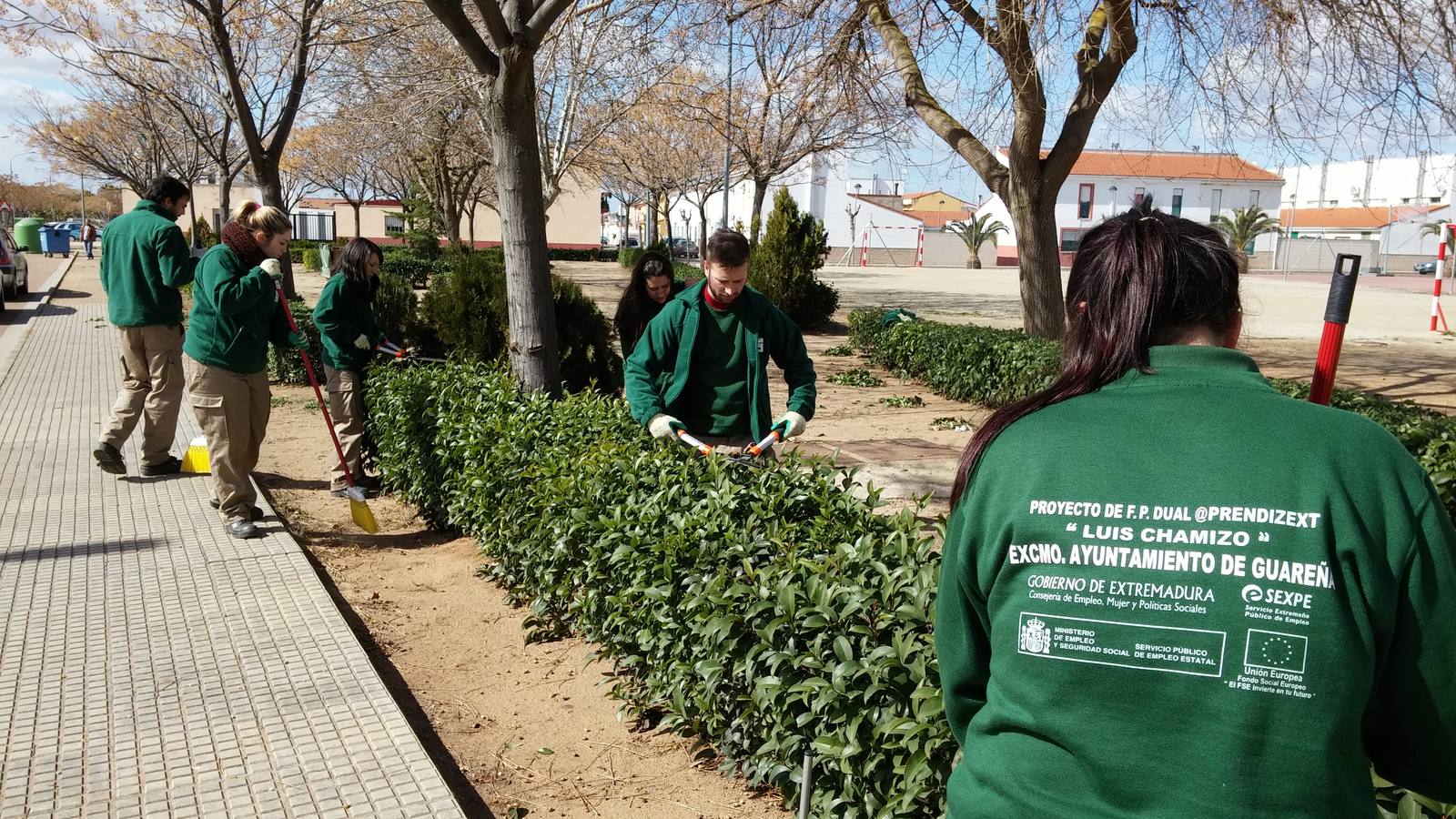 Oportunidad para 15 desempleados trabajar durante un año en mantenimiento de jardines y zonas verdes