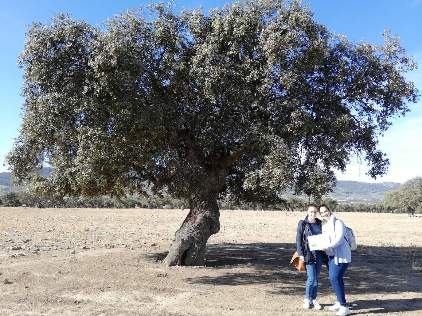 Las «madrinas de encinas» junto con la responsable del proyecto y las concejalas de Herrera 