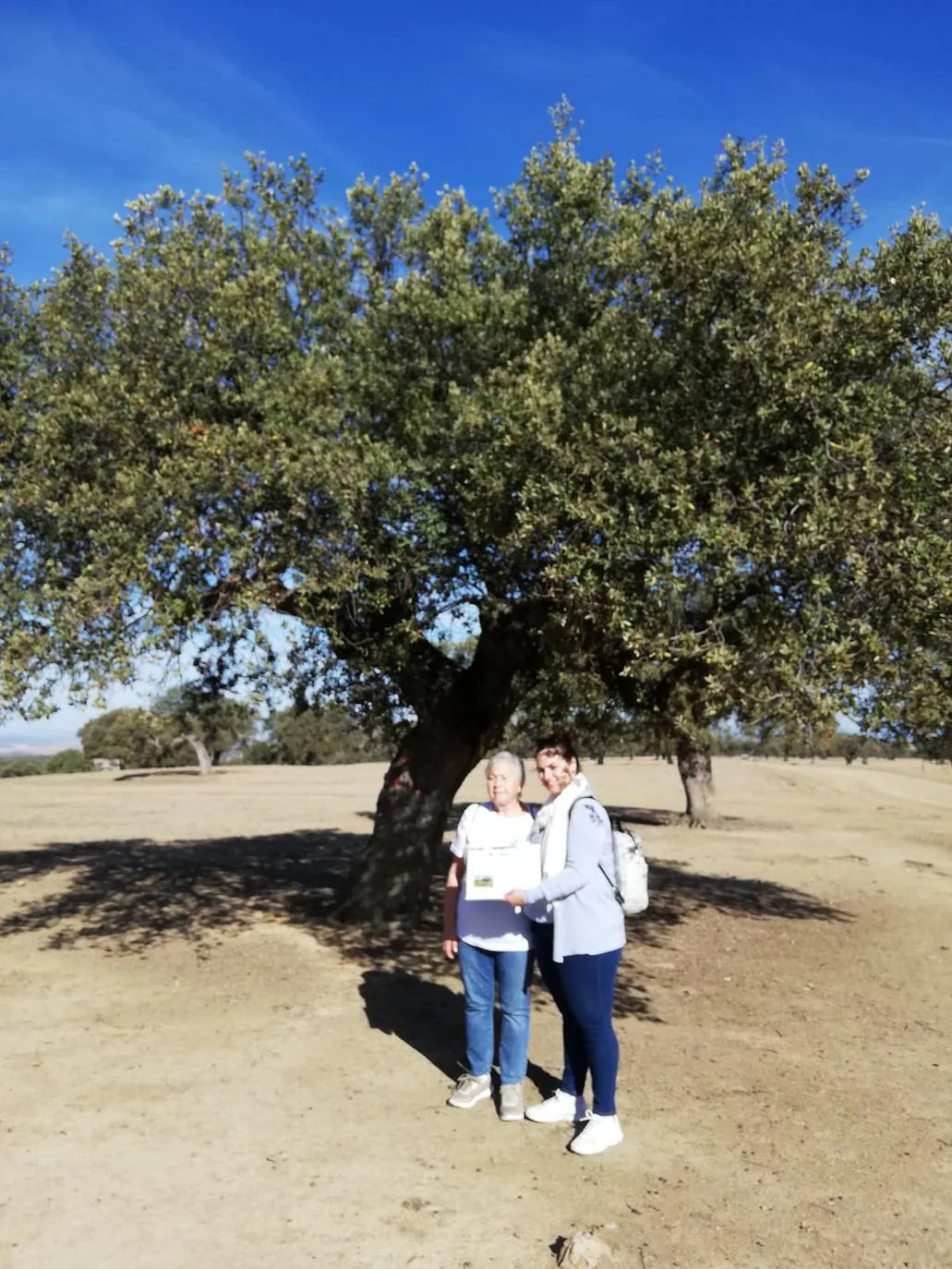 Las «madrinas de encinas» junto con la responsable del proyecto y las concejalas de Herrera 