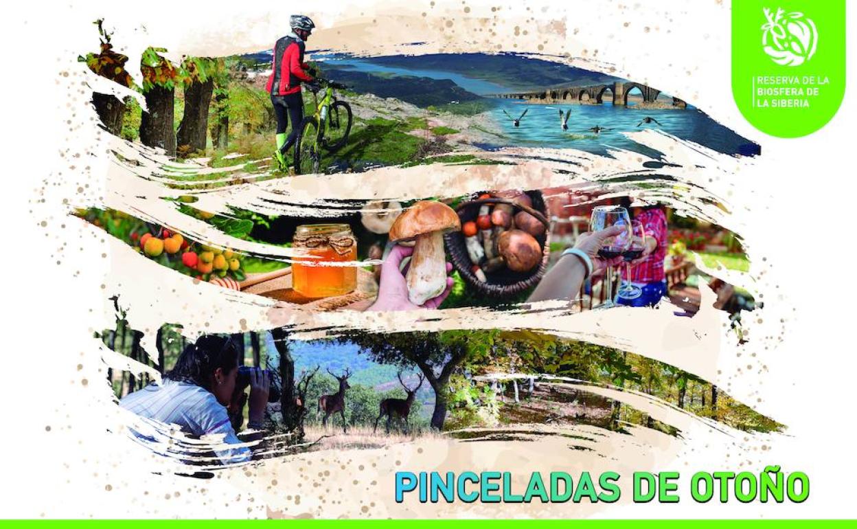 Pinceladas de Otoño