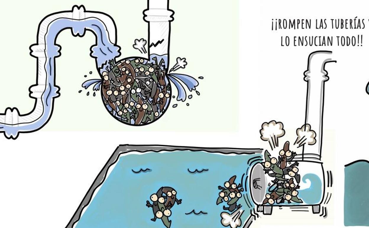 Promedio y AEOPAS lanzan un cuento sobre «toallitas zombis» para concienciar de los problemas de estos residuos