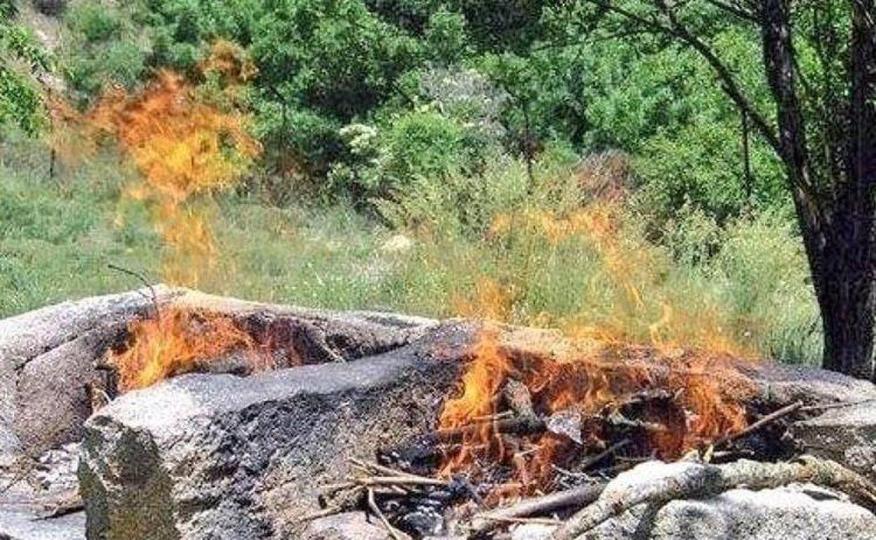 El Ayuntamiento de Herrera del Duque comunica la prohibición de fuego por peligro alto de incendios