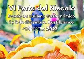 VI Feria del Niscalo Mycosfera 2023