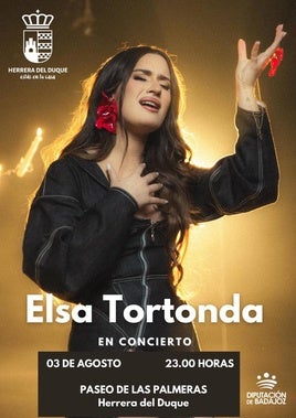 Cartel del concierto