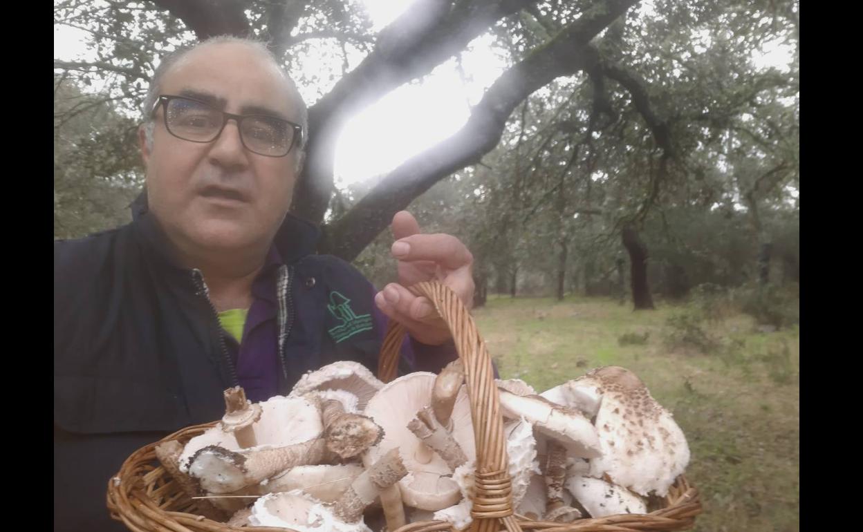 José Luis Gómez Carrasco, presidente de la Sociedad Micológica «Sierras de Hornachos»……., Hornachos tiene una naturaleza mágica, y para los amantes de la micología un «microclima» único.