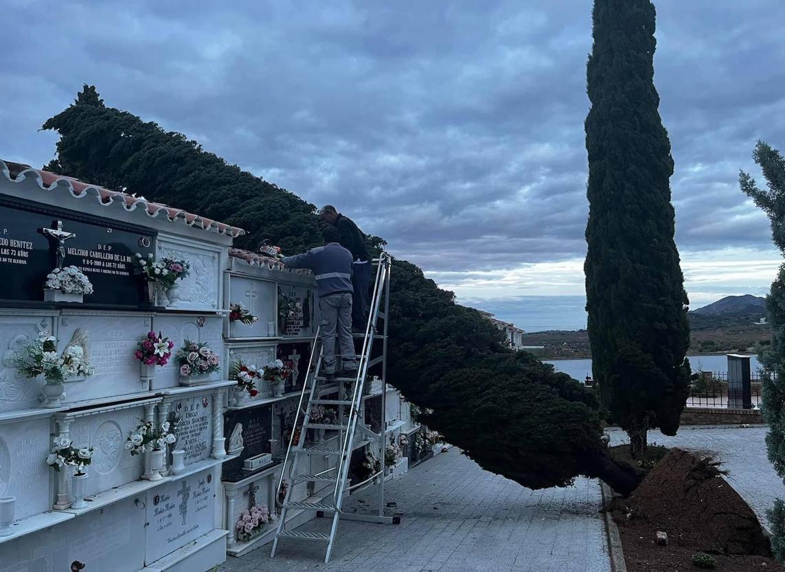 La borrasca Bernard deja unos 40 litros de agua y desperfectos en arboles y mobiliario urbano