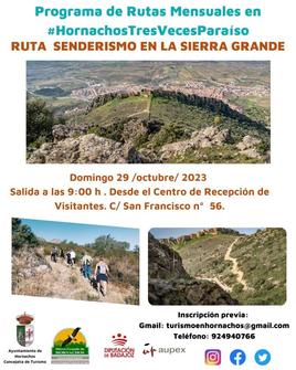Cartel actividad