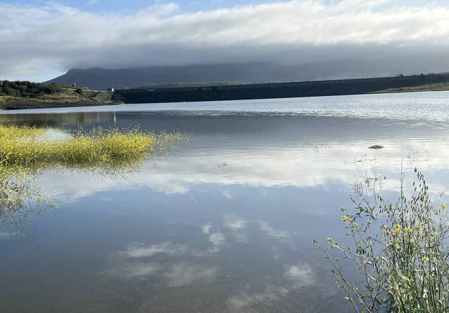 Presa de «Los Molinos»