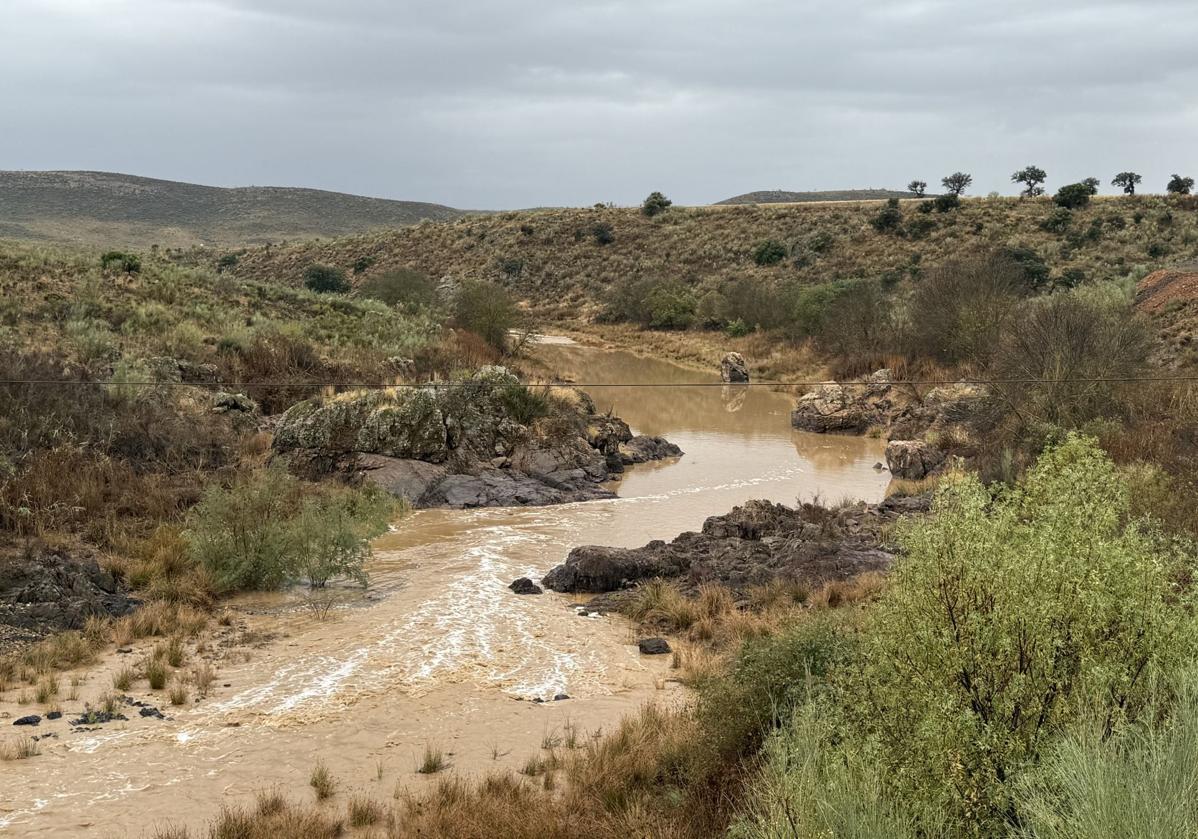 Estado actual «cola» del Pantano