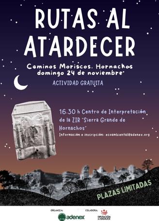 Cartel actividad