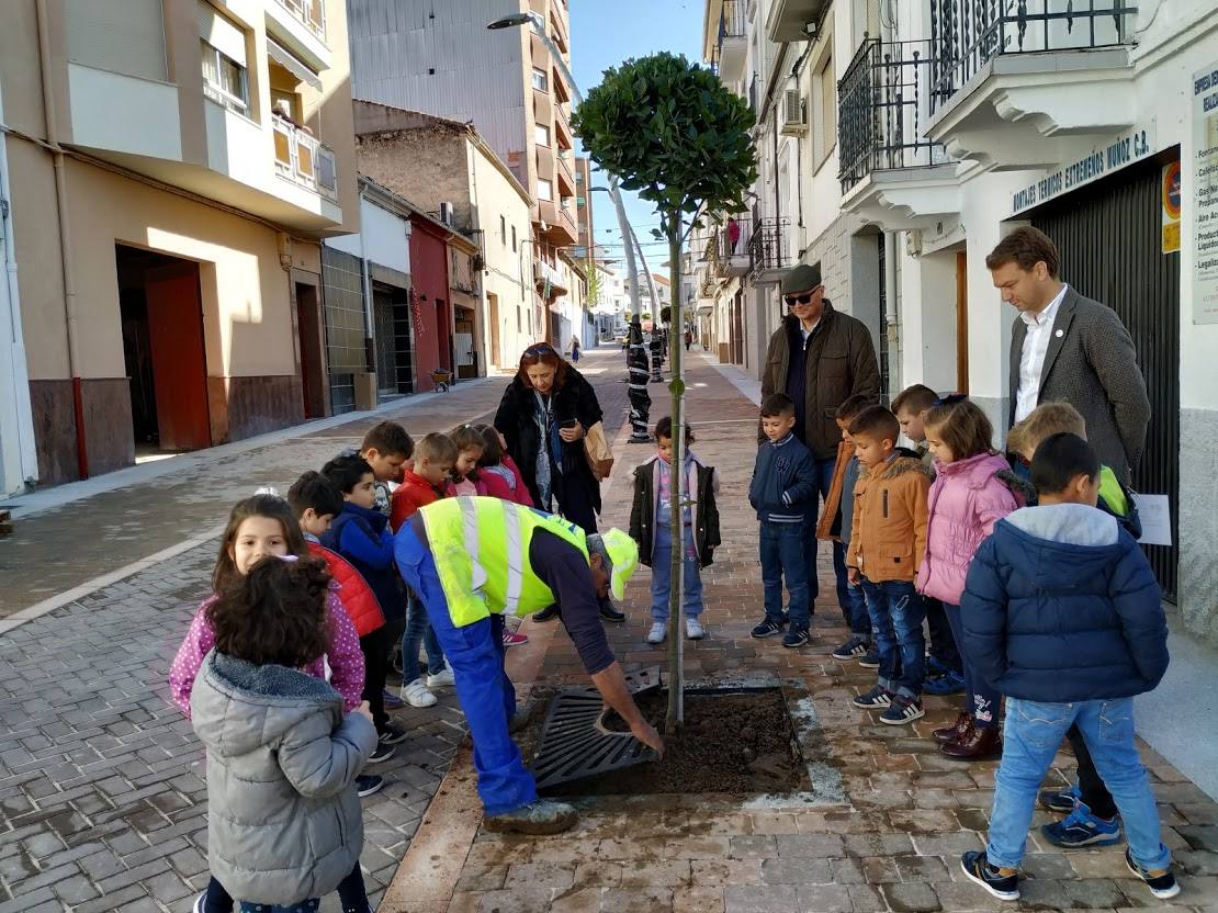 Los escolares plantando árboles. 