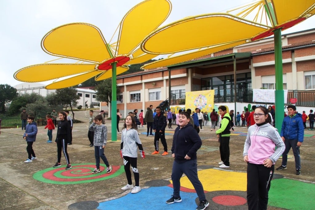 Actividad realizada en Primaria.