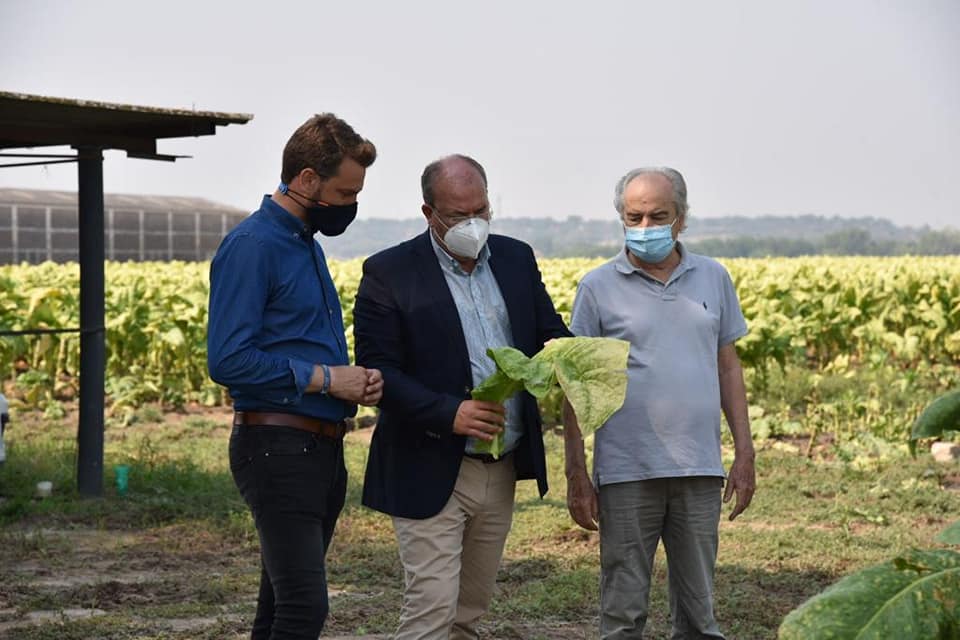 Luis Miguel Núñez, José Antonio Monago y el empresario jaraiceño Nicasio López examinan una hoja de tabaco. 