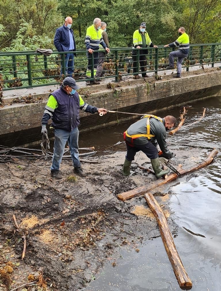 Limpieza de urgencia en el Lago