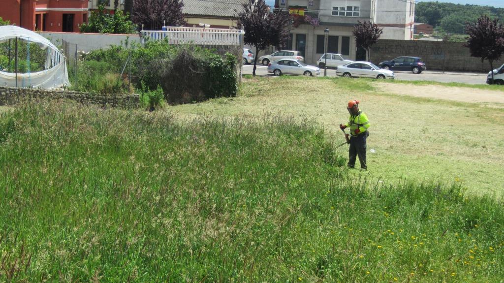 Desbroce del aparcamiento de la antigua verbena, en la avenida de la Constitución. 