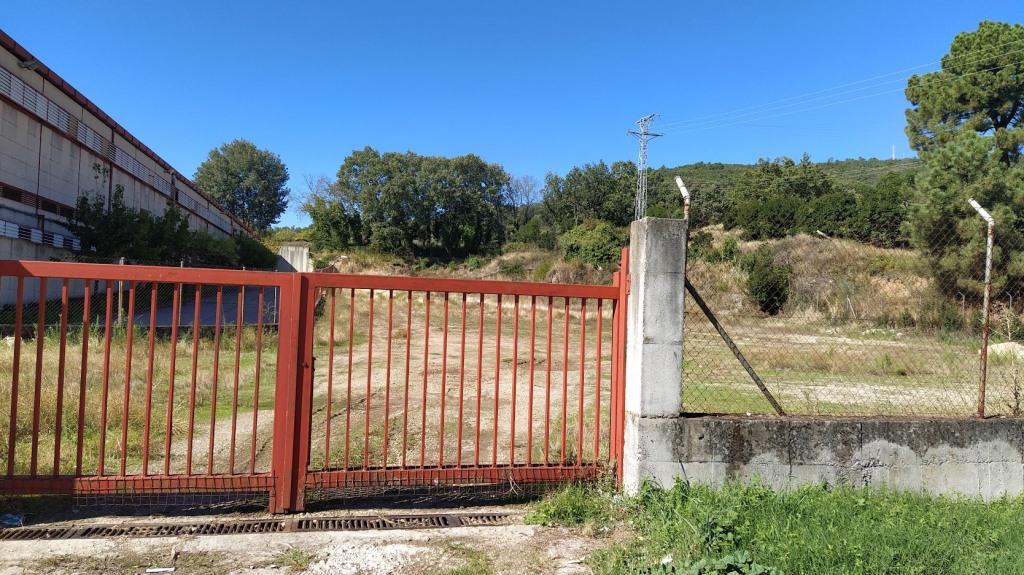 Parcela anexa al centro de tabaco en proceso de reversión. 