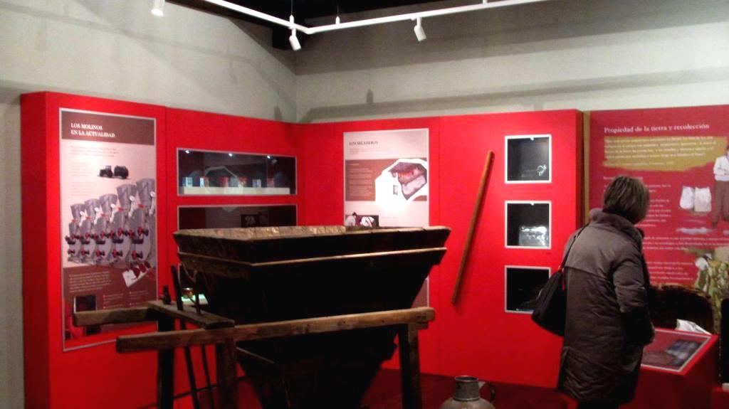 Una mujer recorriendo una de las salas del museo. 