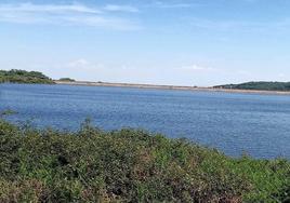 La presa llena, cuya imagen fue capta hace unos días.