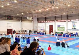 La fiesta del karate continúa este domingo con el II Trofeo del Pimentón