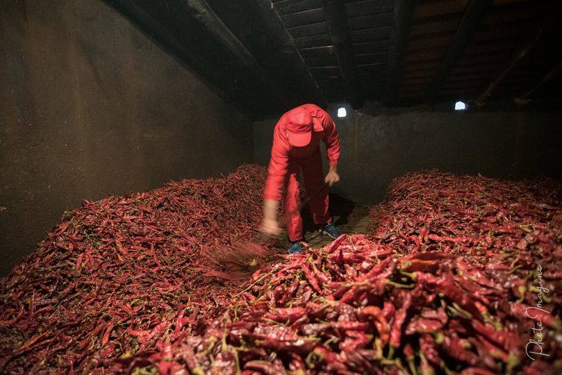 Ayudas para el secado de pimientos para pimentón