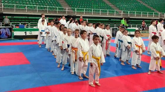 17 medallas para el Club de Karate Jaraíz en la fase final provincial de los Judex