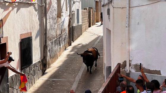 Hoy, lidia de dos vaquillas matinales, dos toros vespertinos y uno nocturno