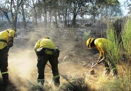 Los agentes del Infoex sofocando otro fuego anterior en la dehesa boyal jaraiceña.