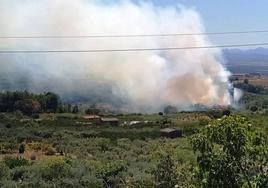 El incendio forestal originado este mediodía en término municipal jaraiceño.