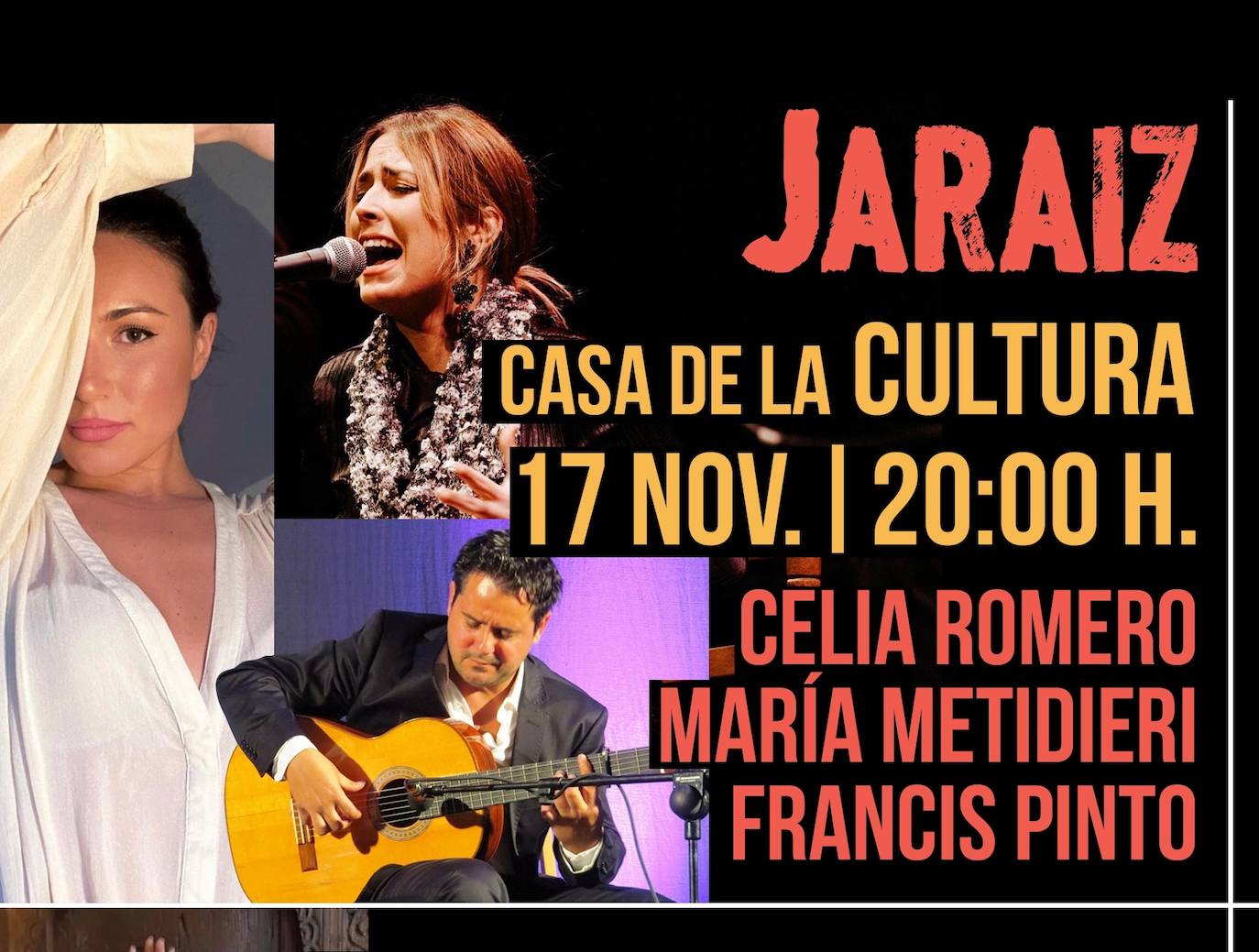 Cartel anunciador de las actuaciones con motivo del Día Internacional de Flamenco.