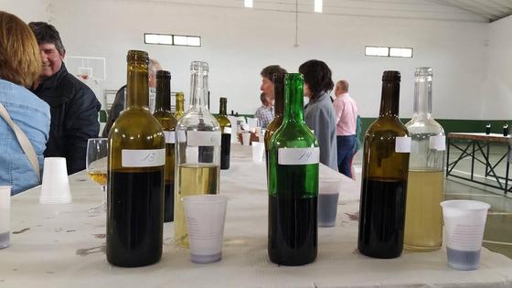 El 27 de enero se celebrará el Concurso de Vinos de Pitarra