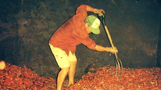 Ayudas para el secado de pimientos con biocombustibles