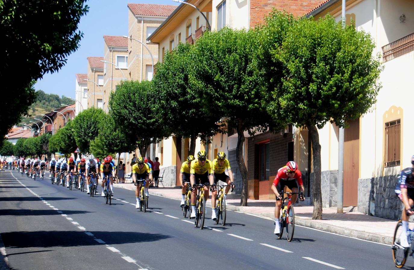 El pelotón por la avenida de la Montaña.