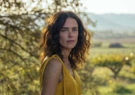 Hoy en el Avenida, en sesión de cine-club, 'Los destellos'