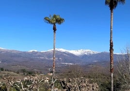 La sierra desde el mirador del parque Los Bolos de Jaraíz.