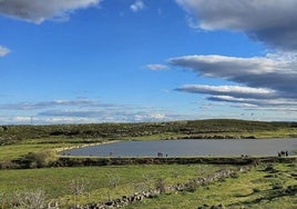 La charca de Los Invernaderos, que acoge el Campeonato de Extremadura de Pesca Salmónidos Mosca Lago-Orilla.
