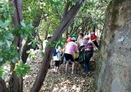 Los usuarios de Vera Plena Inclusión recogiendo basuraleza en el paraje jaraiceño de La Serradilla.