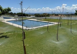 Zona de las piscinas con el nuevo césped y arbolado sustituido.