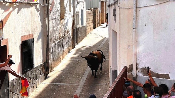 Encierros y toros matinales, vespertinos y nocturnos