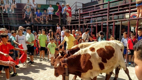 Los últimos festejos taurinos arrancan con el desfile de bueyes