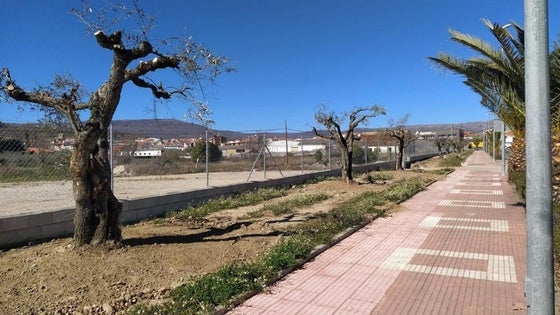 La mesa de contratación de Educación selecciona a la redactora del proyecto del nuevo instituto