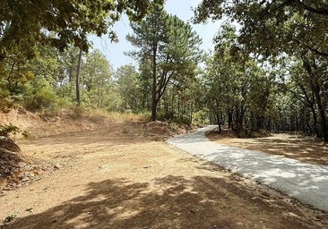 Gestión Forestal realiza mejoras en el Cerro de las Cabezas
