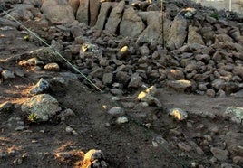 Dolmen Lámoina, en la dehesa boyal jaraiceña.