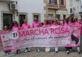 La marcha recorriendo el centro urbano jaraiceño.