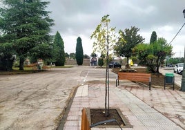 Aparcamientos y zonas verdes en las inmediaciones del camposanto recientemente arregladas.