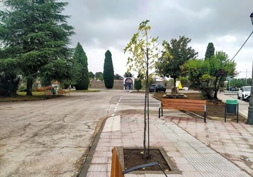 El cementerio se prepara para la festividad del Día de Todos los Santos