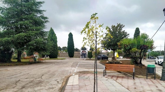 El cementerio se prepara para la festividad del Día de Todos los Santos