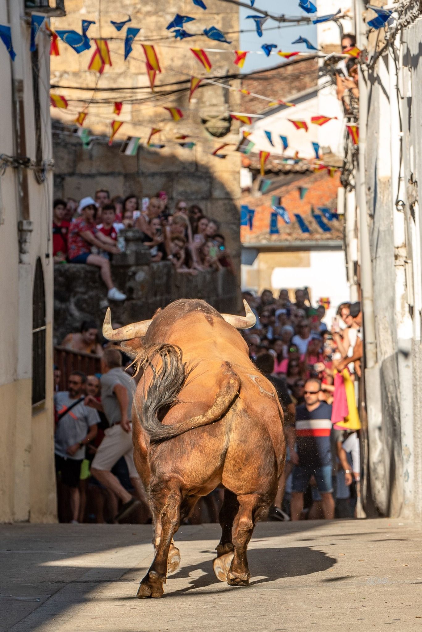 'Encierros de los toros'.