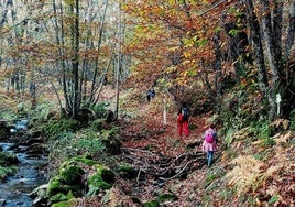 'La Vera a pie 2026', 19 rutas para hacer deporte y turismo